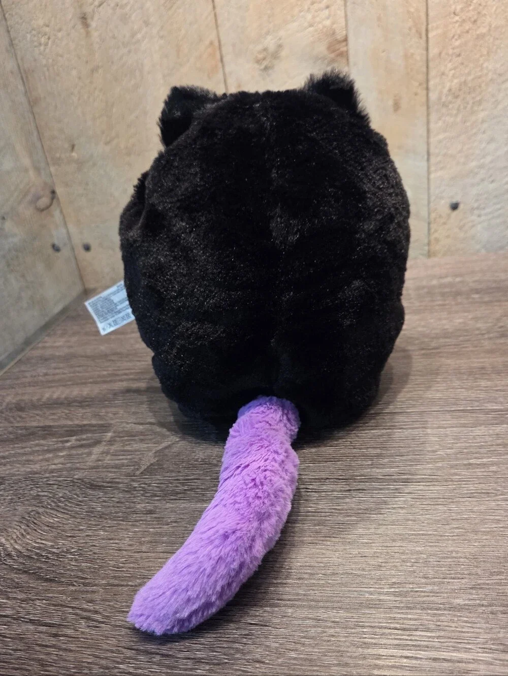 Misfitten Get Meowt Kitten Cat